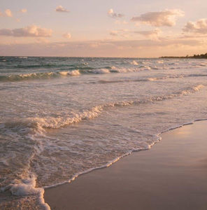 Meet your Posher, Genesis